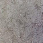 Silver FN14
